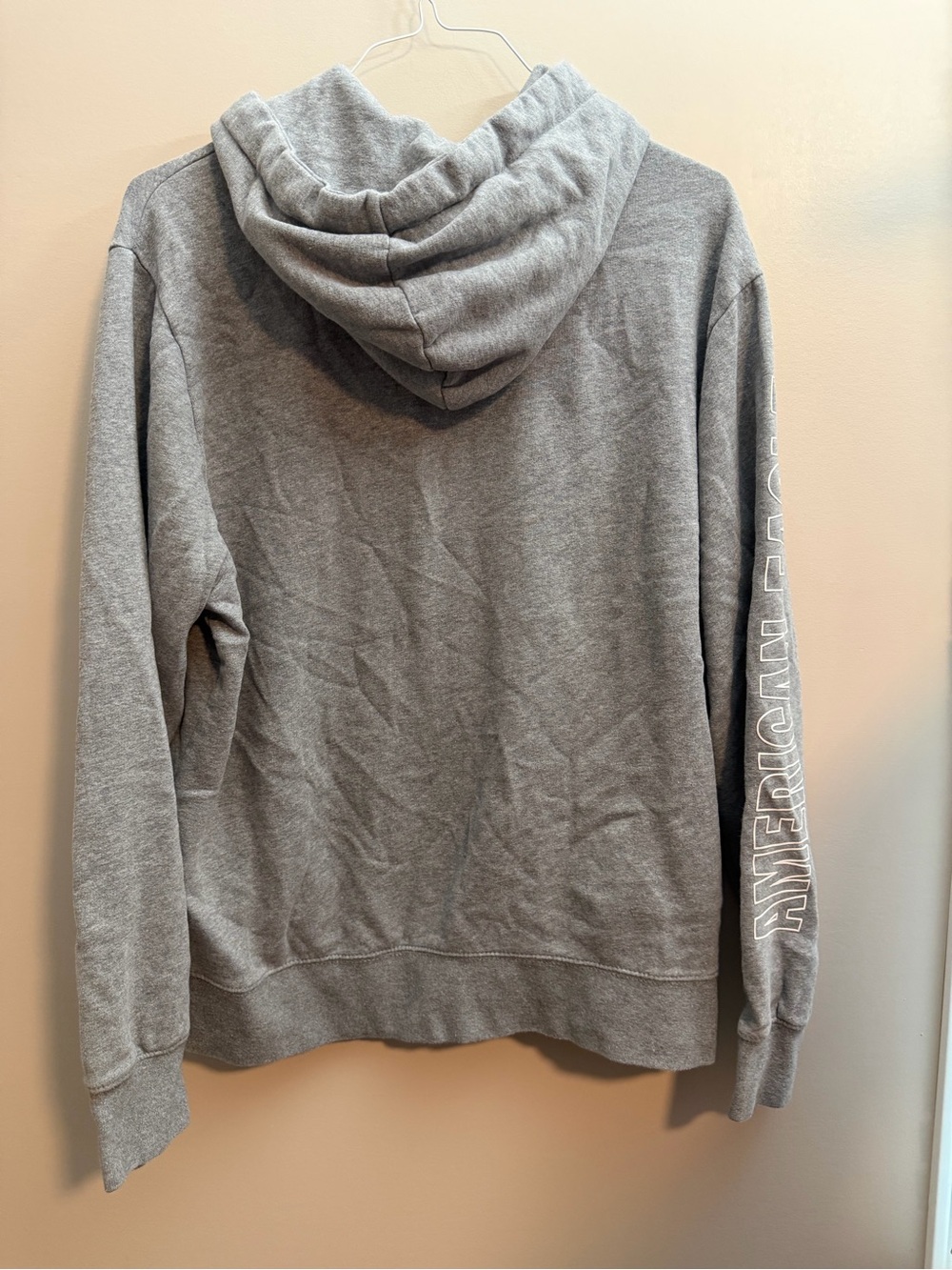 American Eagle Outfitters Grey Hooded Sweatshirt with Eagle Outline - Picture 4 of 4